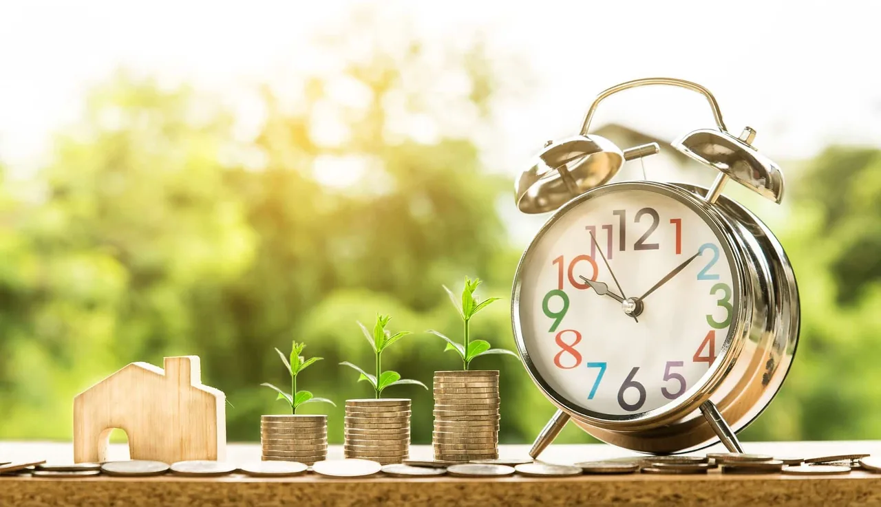 ✅ SEO para nichos: Todo lo que necesitas saber
